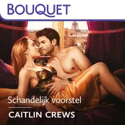 Omslag van Schandelijk voorstel