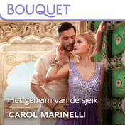 Omslag van Het geheim van de sjeik