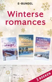 Omslag van Winters romancepakket