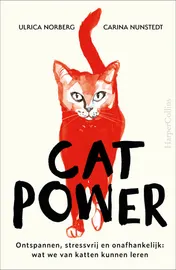 Omslag van Cat Power