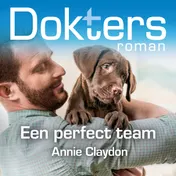 Omslag van Een perfect team