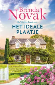 Omslag van Het ideale plaatje