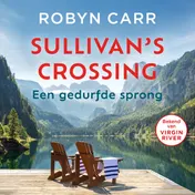 Omslag van Een gedurfde sprong