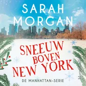 Omslag van Sneeuw boven New York