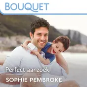 Omslag van Perfect aanzoek