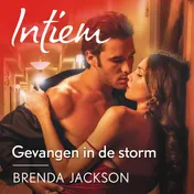 Omslag van Gevangen in de storm