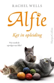 Omslag van Kat in opleiding