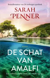Omslag van De schat van Amalfi