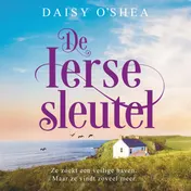 Omslag van De Ierse sleutel