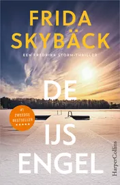 Omslag van De ijsengel