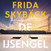 Omslag van De ijsengel