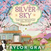 Omslag van Silver Sky