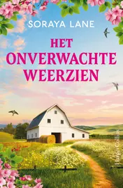 Omslag van Het onverwachte weerzien