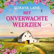 Omslag van Het onverwachte weerzien