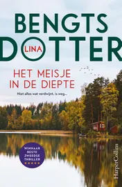 Omslag van Het meisje in de diepte