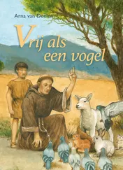 Omslag van Vrij als een vogel