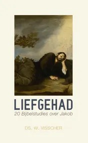 Omslag van Liefgehad