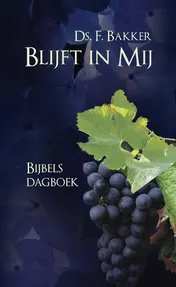 Omslag van Blijft in Mij