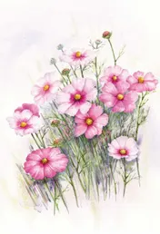 Omslag van Wenskaart Roze bloemen met envelop