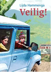 Omslag van Veilig!