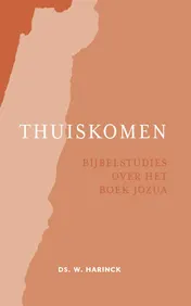 Omslag van Thuiskomen