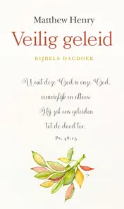 Omslag van Veilig geleid