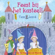 Omslag van Feest bij het kasteel!
