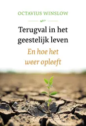 Omslag van Terugval in het geestelijk leven