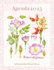 Omslag van Mattie-agenda 2025