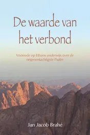 Omslag van De waarde van het verbond