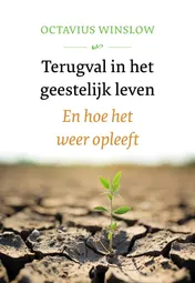 Omslag van Terugval in het geestelijk leven