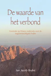 Omslag van De waarde van het verbond