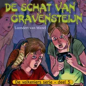 Omslag van De schat van Gravensteijn