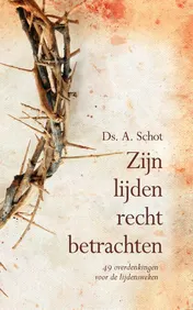 Omslag van Zijn lijden recht betrachten