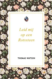 Omslag van Leid mij op een Rotssteen