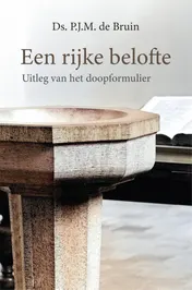 Omslag van Een rijke belofte