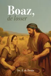 Omslag van Boaz, de Losser
