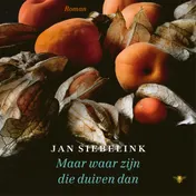 Omslag van Maar waar zijn die duiven dan