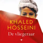 Omslag van De vliegeraar