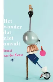 Omslag van Het wonder dat niet omvalt