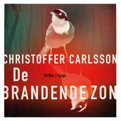 Omslag van De brandende zon