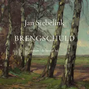 Omslag van Brengschuld