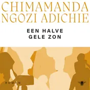 Omslag van Een halve gele zon