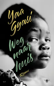 Omslag van Weg naar huis