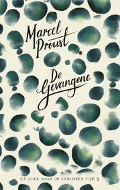 Omslag van De gevangene