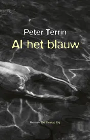 Omslag van Al het blauw