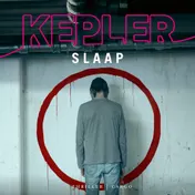 Omslag van Slaap