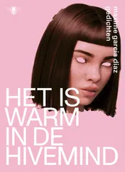 Omslag van Het is warm in de hivemind