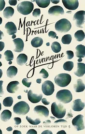 Omslag van De gevangene