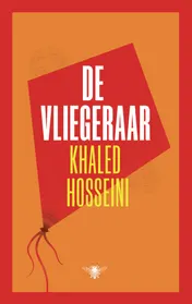 Omslag van De vliegeraar